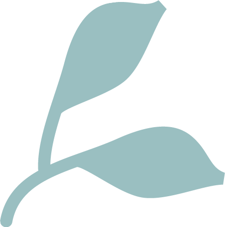 shape 3
